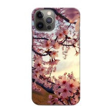 Чохол з картинкою Сакури на iPhone 11 Pro – Квітуча сакура