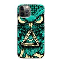 Чохол з пташками на iPhone 11 Pro (VPrint) (Сова з оком)