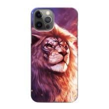 Чохол з картинкою ЛЕВ для iPhone 11 Pro (VPrint) (Красочний Лев)