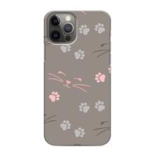 Чехол с рисунком кот на iPhone 11 Pro – Лапы и усы
