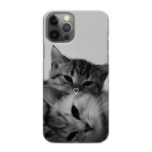Чехол с рисунком кот на iPhone 11 Pro – Пара котов