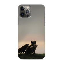 Чохол як приборкати дракона на iPhone 11 Pro (Беззубик)