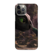 Чохол як приборкати дракона на iPhone 11 Pro (Сцена з драконом)