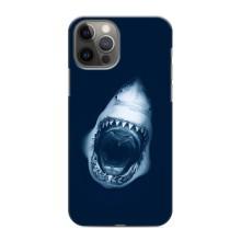 Силиконовый бампер с картинкой животных для iPhone 11 Pro (Пасть Акулы)