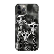 Силіконовий чохол з КАРТИНКАМИ літо для iPhone 11 Pro (AlphaPrint) (Жирафи в окулярах)
