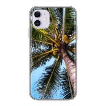 Силіконовий чохол з КАРТИНКАМИ літо для iPhone 11 (AlphaPrint) (Пальма)
