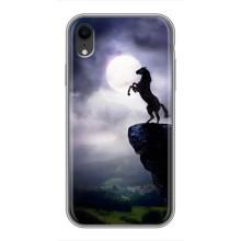 Чохли з зображенням різних тварин на iPhone Xr (Кінь)