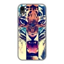 Чохли з зображенням різних тварин на iPhone Xr (Яскравий Тигр)