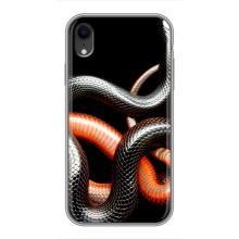 Чохли з зображенням різних тварин на iPhone Xr (Змія)