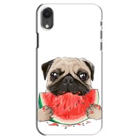 Чехол (ТПУ) Милые собачки для iPhone Xr – Смешной Мопс