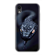 Чехол с картинкой «Хищники» для iPhone Xr – Змея