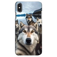 Чехол с Хаски для iPhone Xs Max - (AlphaPrint) (Селфи ХАски)