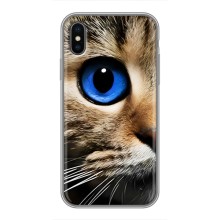 Чехлы с Котиками для iPhone Xs Max (VPrint) (Глаз кота)