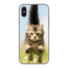 Чехлы с Котиками для iPhone Xs Max (VPrint) (Прыжок кота)