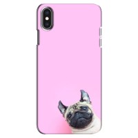Бампер для iPhone Xs Max с картинкой "Песики" (Собака на розовом)