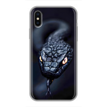 Чохол з картинкою 'Хижаки' для iPhone Xs Max (Змія)