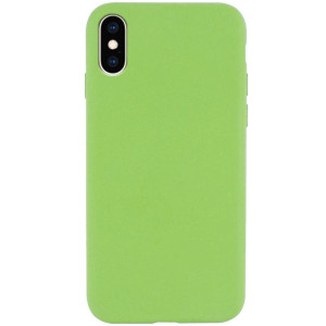 Чехол Silk Full Protective (AA) NO LOGO для Apple iPhone X / XS (5.8") – Мятный