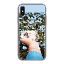 Чехлы с изображением разных животных для iPhone Xs (Ежик на руках)