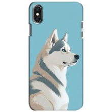 Чехол с Хаски для iPhone Xs - (AlphaPrint) (Хаски арт)