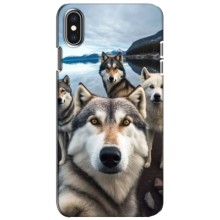 Чехол с Хаски для iPhone Xs - (AlphaPrint) (Селфи ХАски)