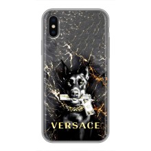 Чехлы VERSACE для Айфон Хс (PREMIUMPrint) (AlphaPrint-ген.)