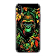 Чехол с Обезьянами iPhone Xs - (AlphaPrint) (Обезьяна в тропиках)