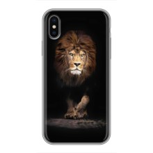 Чохол з картинкою ЛЕВ для iPhone Xs (VPrint) (Лев)