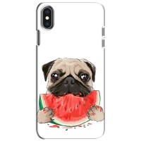 Чехол (ТПУ) Милые собачки для iPhone Xs – Смешной Мопс