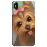 Чехол (ТПУ) Милые собачки для iPhone Xs (Йоршенский терьер)