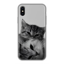 Чохол з малюнком кіт на iPhone Xs (Пара котів)