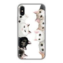 Силиконовый чехол с котиком для iPhone Xs (Коты)