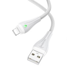 Дата кабель Borofone BX100 Advantage USB to Lightning (1m) – Gr111111ay