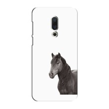 Чехлы с Лошадью дляMeizu 15 Plus (VPrint) (Черный Конь)