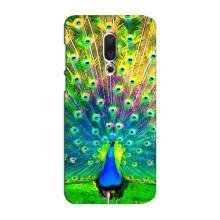 Чохол з пташками на Meizu 15 Plus (VPrint)