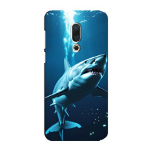 Чехол с картинкой «Хищники» для Meizu 15 Plus – Акула