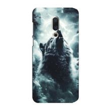 Чехол с картинкой «Хищники» для Meizu 15 Plus