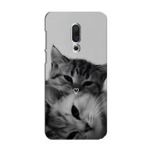 Чехол с рисунком кот на Meizu 15 – Пара котов
