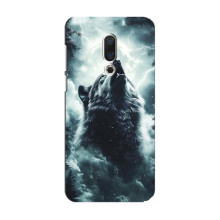 Чехол с картинкой «Хищники» для Meizu 15