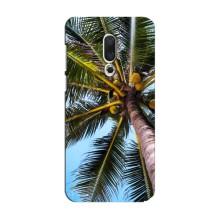Силиконовый чехол с КАРТИНКАМИ лето для Meizu 15 (AlphaPrint) (Пальма)