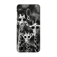 Силиконовый чехол с КАРТИНКАМИ лето для Meizu 15 (AlphaPrint) (Жирафы в очках)
