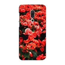 Чохли з квітами для Meizu 16 Plus (VPrint) (Квіти червоні)