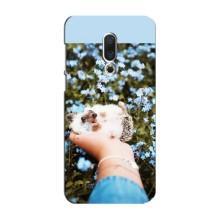 Чехлы с изображением разных животных для Meizu 16 Plus (Ежик на руках)