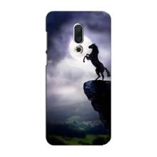 Чехлы с изображением разных животных для Meizu 16 Plus (Лошадь)