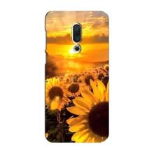 Чохол з Квітами для Meizu 16 Plus (поле соняшників)