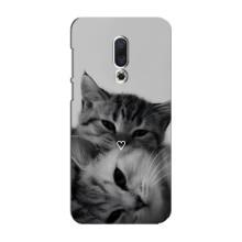 Чохол з малюнком кіт на Meizu 16 Plus – Пара котів