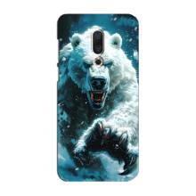 Чехол с картинкой «Хищники» для Meizu 16 Plus – Медведь