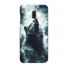 Чехол с картинкой «Хищники» для Meizu 16 Plus