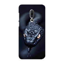 Чехол с картинкой «Хищники» для Meizu 16 Plus – Змея