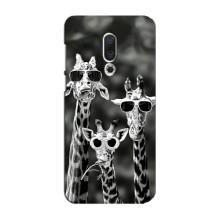 Силиконовый чехол с КАРТИНКАМИ лето для Meizu 16 Plus (AlphaPrint) (Жирафы в очках)