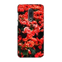 Чехлы с Цветами для Meizu 16th (VPrint) (Цветы красные)